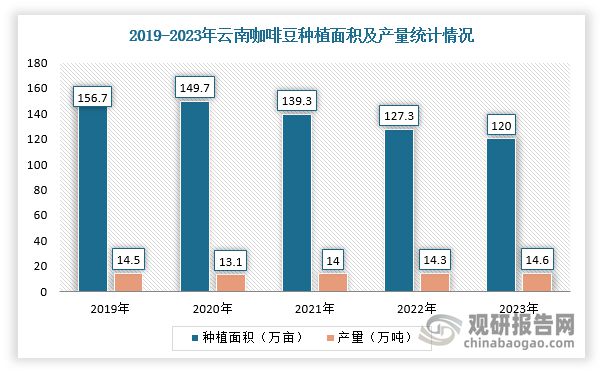 投资趋势分析报告（2025-2032年）AG真人直营中国咖啡豆行业现状深度研究与