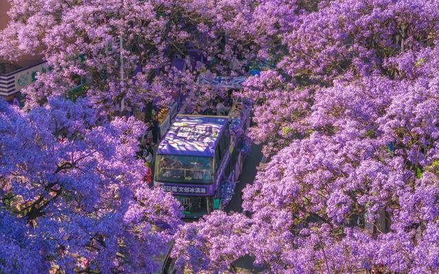 优服务繁荣文旅市场AG真人网页以更(图11)