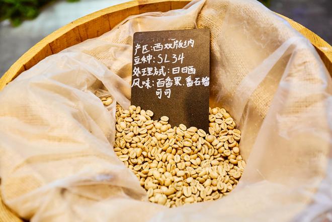 园体验咖啡文化深入了解背后的文化故事AG真人百家家乐平台普洱北归咖啡庄(图8)
